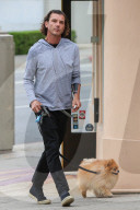 EXKLUSIV - Gavin Rossdale geht mit dem Hund Gassi