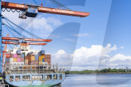 NEWS -  Container Terminal Altenwerder in Hamburg