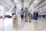 Therapy dogs bound into Aberdeen airport to alleviate stress. Canine Concern Scotland introduces dog team to airport to support anxious passengers.