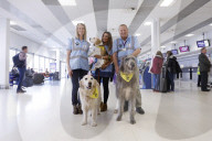 Therapy dogs bound into Aberdeen airport to alleviate stress. Canine Concern Scotland introduces dog team to airport to support anxious passengers.