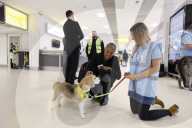 Therapy dogs bound into Aberdeen airport to alleviate stress. Canine Concern Scotland introduces dog team to airport to support anxious passengers.