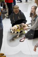 Therapy dogs bound into Aberdeen airport to alleviate stress. Canine Concern Scotland introduces dog team to airport to support anxious passengers.
