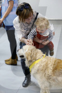Therapy dogs bound into Aberdeen airport to alleviate stress. Canine Concern Scotland introduces dog team to airport to support anxious passengers.