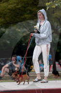 Model and socialite Ireland Baldwin takes her pet miniature Dachshunds for a walk as she enjoys a healthy outing in Beverly Hills. 