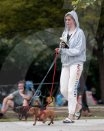 Model and socialite Ireland Baldwin takes her pet miniature Dachshunds for a walk as she enjoys a healthy outing in Beverly Hills. 