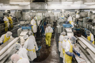 How the catfish capital of the world was hit by an Asian fish flood. Around the city of Belzoni, Mississippi, the catfish industry used to be all conquering – but then came the imports from Asia.