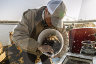 How the catfish capital of the world was hit by an Asian fish flood. Around the city of Belzoni, Mississippi, the catfish industry used to be all conquering – but then came the imports from Asia.