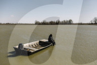 How the catfish capital of the world was hit by an Asian fish flood. Around the city of Belzoni, Mississippi, the catfish industry used to be all conquering – but then came the imports from Asia.