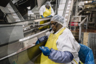 How the catfish capital of the world was hit by an Asian fish flood. Around the city of Belzoni, Mississippi, the catfish industry used to be all conquering – but then came the imports from Asia.