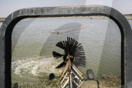 How the catfish capital of the world was hit by an Asian fish flood. Around the city of Belzoni, Mississippi, the catfish industry used to be all conquering – but then came the imports from Asia.