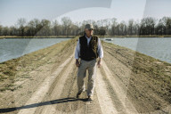 How the catfish capital of the world was hit by an Asian fish flood. Around the city of Belzoni, Mississippi, the catfish industry used to be all conquering – but then came the imports from Asia.