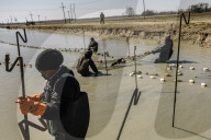 How the catfish capital of the world was hit by an Asian fish flood. Around the city of Belzoni, Mississippi, the catfish industry used to be all conquering – but then came the imports from Asia.