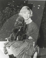 


DORIS DAY
American Singer and Actress
COMPULSORY CREDIT: UPPA/Photoshot Photo
PHPS 0719991   20.12.1965