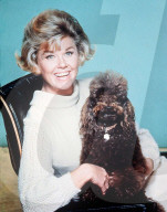 


DORIS DAY
American Singer and Actress
COMPULSORY CREDIT: UPPA/Photoshot Photo
CHPS 009118   01.05.1968