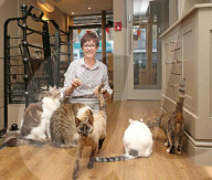 Whiskers & Cream Cafe theft