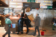 NEWS - Freiwillige reinigen Brüssels Nordbahnhof
