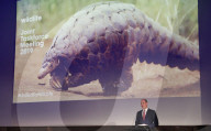 Prince William At Royal Geographical Society