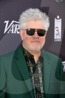 PEOPLE - Cannes: Photocall von Pain & Glory
