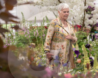 Dame Judi Dench at the Chelsea Flower Show