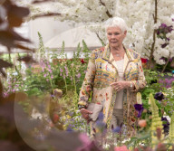 Dame Judi Dench at the Chelsea Flower Show
