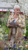 Dame Judi Dench at the Chelsea Flower Show