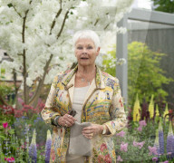 RHS Chelsea Flower Show 2019 at the Royal Hospital, Chelsea, London.