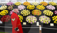 RHS Chelsea Flower Show 2019 at the Royal Hospital, Chelsea, London.