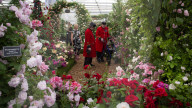 RHS Chelsea Flower Show 2019 at the Royal Hospital, Chelsea, London.