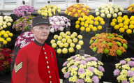 RHS Chelsea Flower Show 2019 at the Royal Hospital, Chelsea, London.