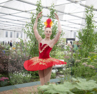 RHS Chelsea Flower Show 2019 at the Royal Hospital, Chelsea, London.