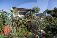 Camfed Garden wins Gold