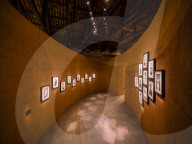 Venice Biennale