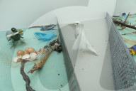 Venice Biennale