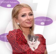 PEOPLE - Paris Hilton mit Kätzchen beim Animal Havens Benefit 2019 in NYC