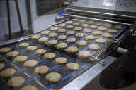 Quorn burgers on a conveyor belt at Stokesley