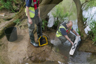 Collecting data at the River Tone, Somerset, on the decline in numbers of eels.