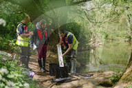 Collecting data at the River Tone, Somerset, on the decline in numbers of eels.