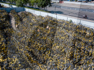 NEWS - China: Fast 2 Millionen Mietvelos verstopfen die chinesische Hauptstadt