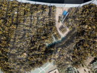 NEWS - China: Fast 2 Millionen Mietvelos verstopfen die chinesische Hauptstadt