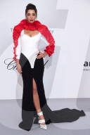 PEOPLE - Cannes: amfAR Gala