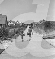 Mono Negative