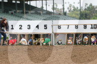 FEATURE - Corgi-Rennen in Los Angeles