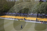 A portrait of English cricket
