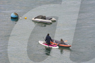 FEATURE - Geentert: Seehund Windo lässt es sich auf einem Schlauchboot in der Mündung des Flusses Dart gutgehen
