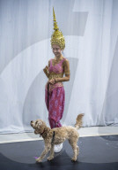 English National Ballet 