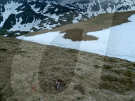 FEATURE -  Bärenattacke überlebt: Andi Bauer konnte einen Bär beim Bergsteigen in Rumänien in die Flucht treiben