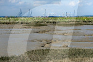 The Way to the Sea: Forgotten Histories of the Thames Estuary. 