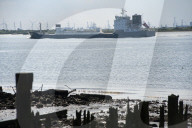 The Way to the Sea: Forgotten Histories of the Thames Estuary. 