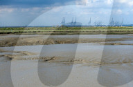 The Way to the Sea: Forgotten Histories of the Thames Estuary. 