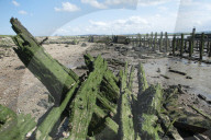 The Way to the Sea: Forgotten Histories of the Thames Estuary. 